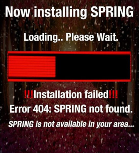 Spring 404