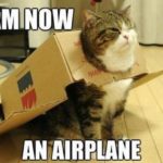 Top 30 Funny Cat Memes -Hilarious
