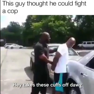 Fighting a Cop