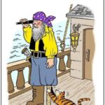 Why Cats Are Banned On The Ship
