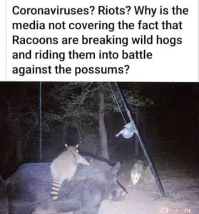 Corona Vrius - Raccon's Riding Howgs