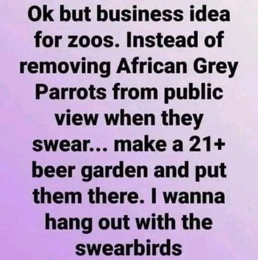 Swear Parrots